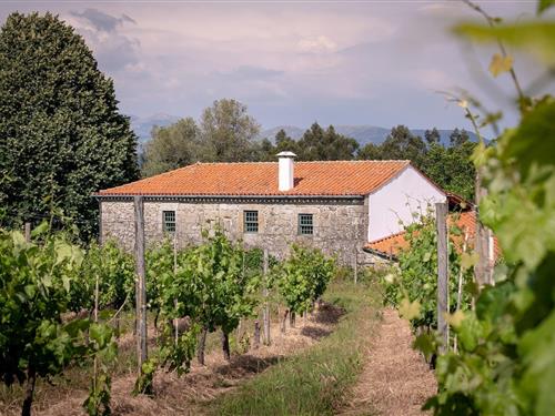 Herskabsvilla - 5 personer -  - 4990-745 - Santa Cruz Do Lima, Ponte