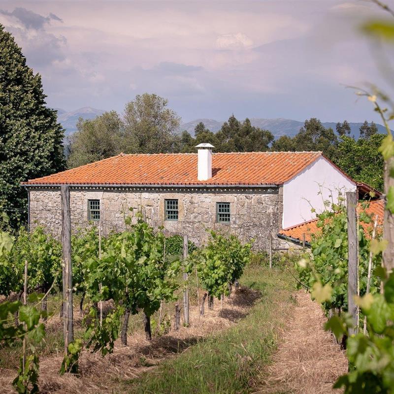 Herskabsvilla - 5 personer -  - 4990-745 - Santa Cruz Do Lima, Ponte