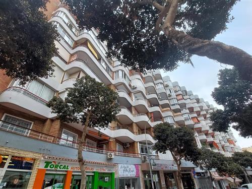 Ferienhaus - 3 Personen -  - Avenida Joan Miró - 29620 - Torremolinos