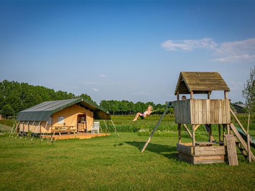 Glamping-Zelt - 4 Personen -  - 5492SM - Sint-Oedenrode