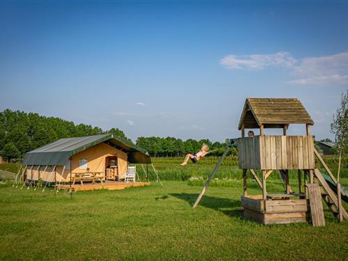 Glamping telt - 4 personer -  - 5492SM - Sint-Oedenrode