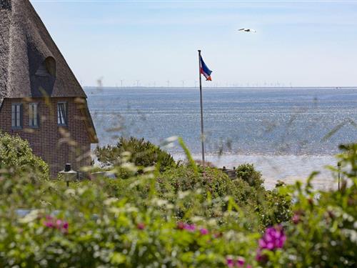 Sommerhus - 6 personer -  - Mannemorsumtal - 25992 - List