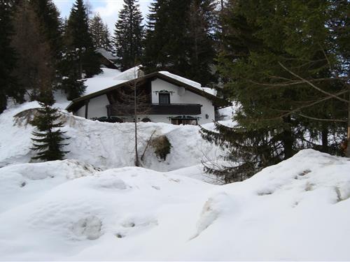 Chalet - 4 personer -  - 9620 - Nassfeld