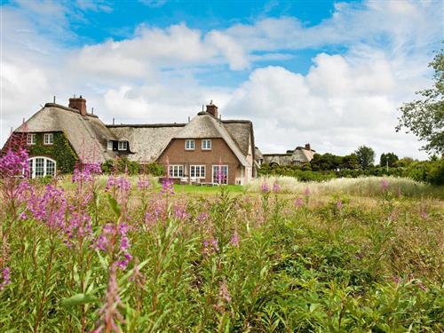 Ferienhaus - 6 Personen -  - Heideweg - 25999 - Kampen Auf Sylt