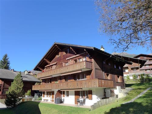 Ferienhaus - 5 Personen -  - Grindelwald - 3818