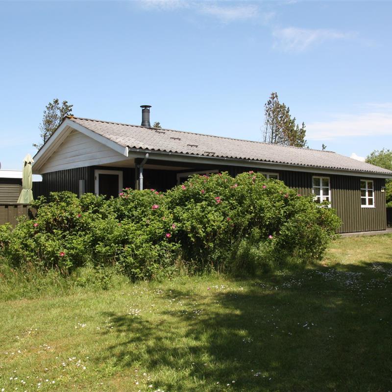 Ferienhaus - 6 Personen -  - Hedetoftvej - 6857 - Blavand