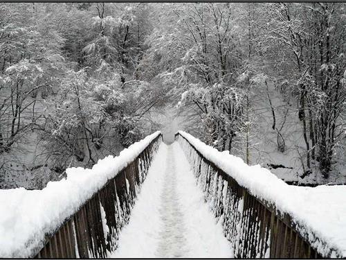 Ferielejlighed - 5 personer -  - Landsbergerstr. - 51491 - Overath