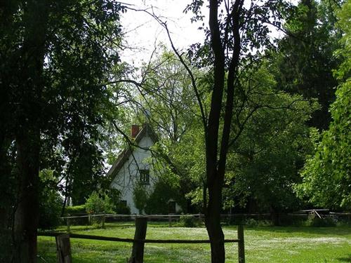 Feriehus / leilighet - 4 personer -  - An der Kirche - 17166 - Bülow