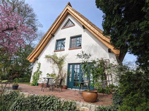 Feriehus - 4 personer -  - An der Kirche - 17166 - Bülow