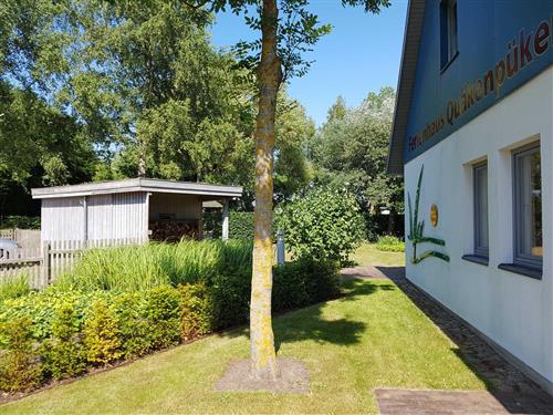 Holiday Home/Apartment - 4 persons -  - Fasanenweg - 18211 - Börgerende-Rethwisch / Bö