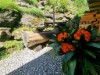 Image 30 - Outside