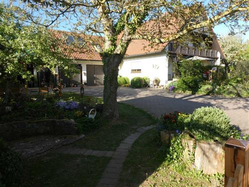 Ferielejlighed - 4 personer -  - Thuisbrunn - 91322 - Gräfenberg