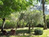 Image 13