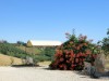 Bild 20 - Aussen