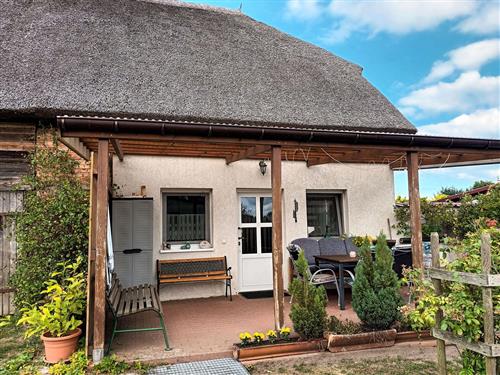 Feriehus - 5 personer -  - Alter Strom - 17440 - Hohendorf