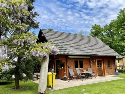Sommerhus - 4 personer -  - 16816 - Neuruppin