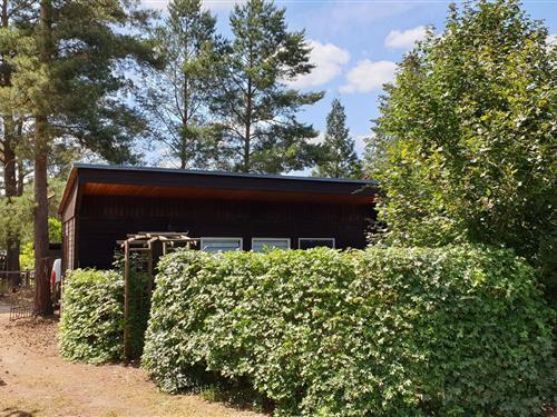 Holiday Home/Apartment - 3 persons -  - Rotdornweg - 14822 - Borkheide