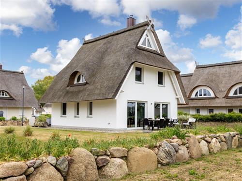 Sommerhus - 8 personer -  - Haffdroom - 18233 - Pepelow