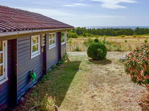Sommerhus - 4 personer -  - Borrelyngvej - 3790 - Hasle