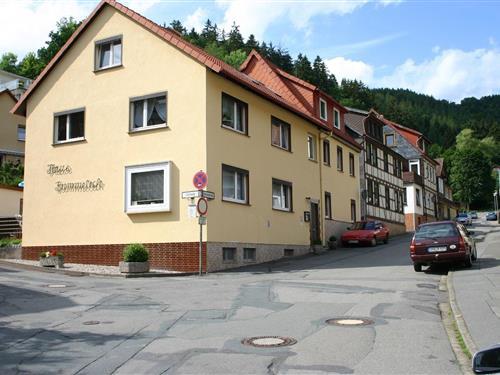 Holiday Home/Apartment - 5 persons -  - Kummelstraße - 37431 - Bad Lauterberg