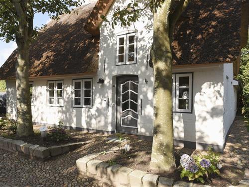 Sommerhus - 4 personer -  - Karkenstieg - 25938 - Oevenum