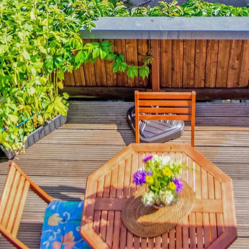 Ferielejlighed - 3 personer -  - August-Eckardt-Straße - 99894 - Friedrichroda