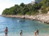 Bilde 5