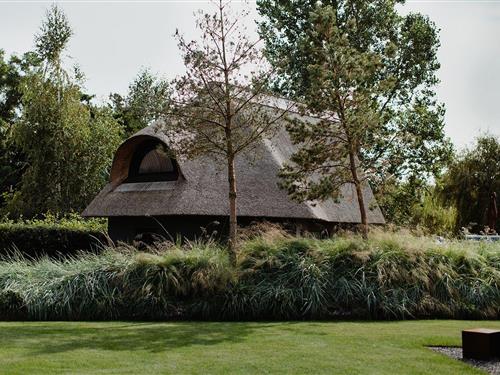 Ferieleilighet - 2 personer -  - Weg zum Hohen Ufer - 18347 - Ahrenshoop