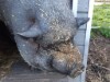 Bild 21 - Ude