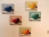 Bild 41