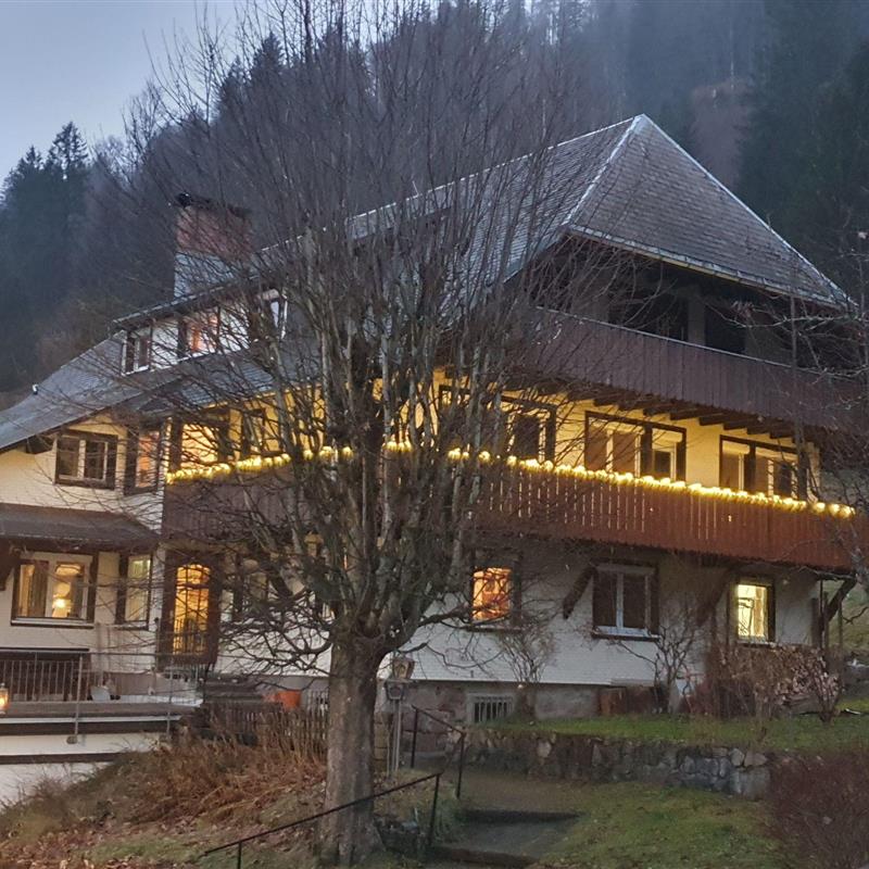 Sommerhus - 28 personer -  - Menzenschwand - 79837