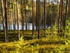 Bilde 34 - Inne