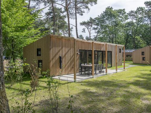 Chalet - 6 personer -  - 5731AA - Mierlo