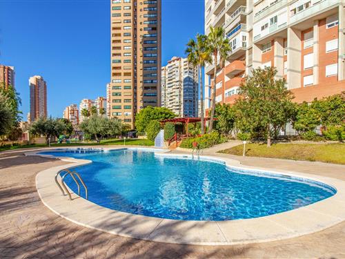 Ferienhaus - 4 Personen -  - Avenida del Municipi - 03502 - Benidorm