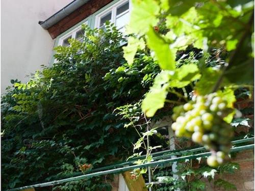 Holiday Home/Apartment - 4 persons -  - 06484 - Quedlinburg