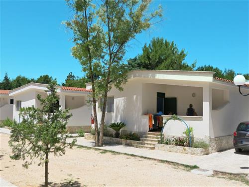 Sommerhus - 6 personer -  - Vieste - 71019