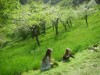 Bild 14 - Aussen