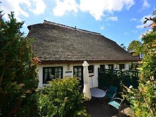 Holiday Home/Apartment - 4 persons -  - Boddenstraße - 18586 - Groß Zicker