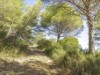 Billede 18