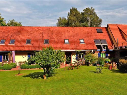 Ferieleilighet - 5 personer -  - 67350 - Kindwiller