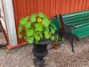 Bilde 6 - Ude