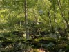 Bild 19