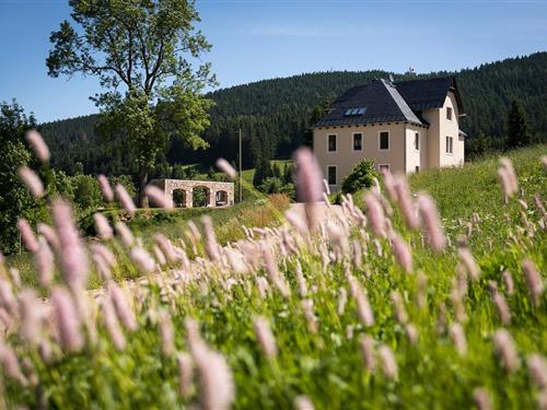 Holiday apartment - 1 person -  - Alte Poststraße - 08309 - Eibenstock