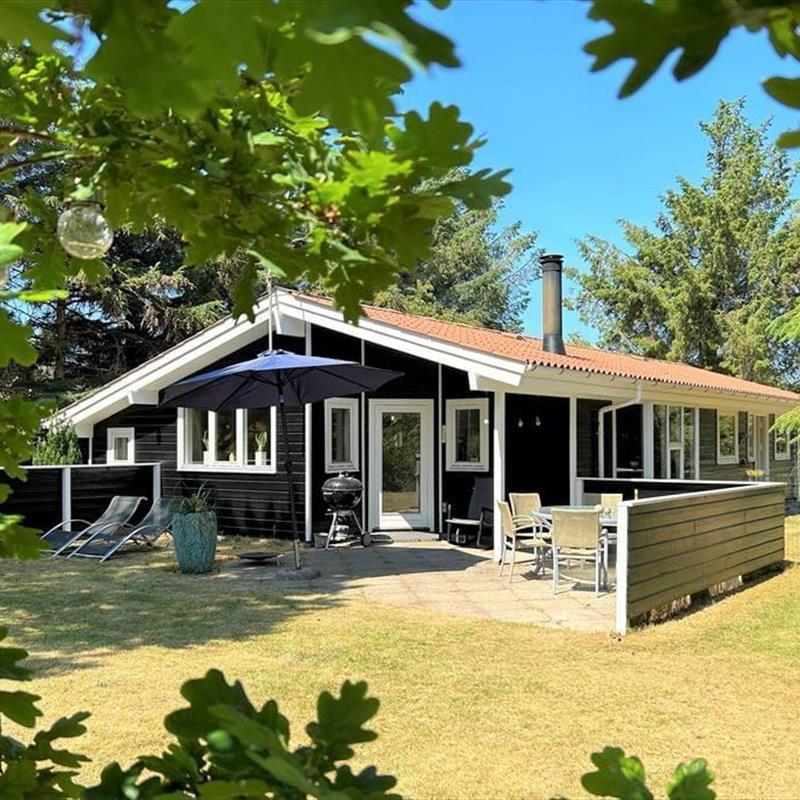 Ferienhaus - 6 Personen -  - Skindbjergvej - Nr. Fjand - 6990 - Ulfborg