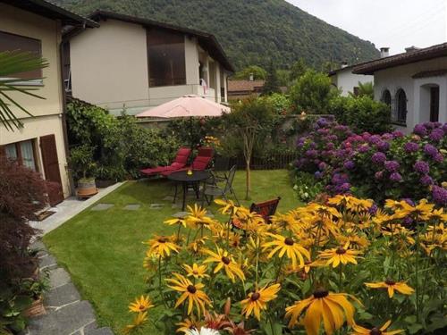 Ferielejlighed - 2 personer -  - Losone - 6616