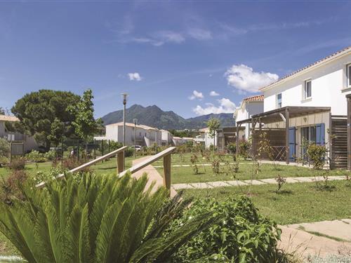 Holiday Home/Apartment - 6 persons -  - 20230 - Poggio Mezzana