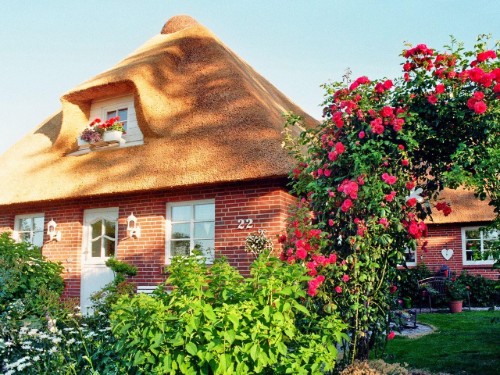 Sommerhus - 4 personer -  - Süderwaygaard - 25899 - Dagebüll
