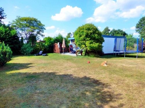 Bungalow - 3 persons -  - Störtebeker Weg - 23743 - Lensterstrand