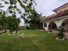 Image 6 - Outside
