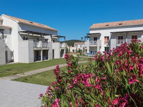 Holiday apartment - 10 persons -  - 20232 - Oletta